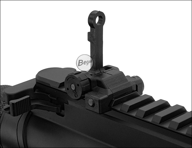 Kombination: Folding Rear Sight zusammen mit Front Sight auf Toprail