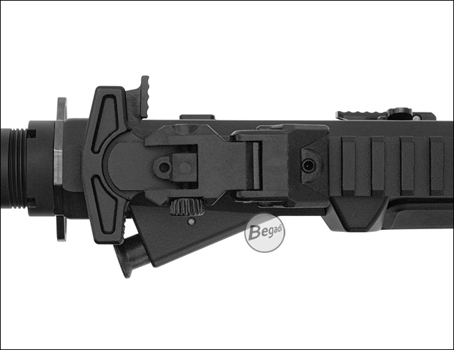 ASAR v2025 Visierlinie Profil