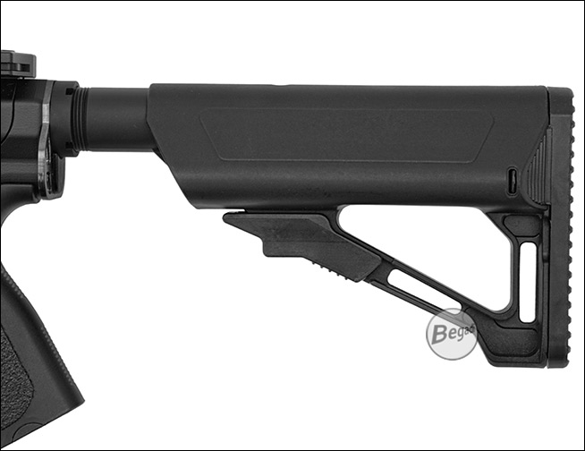 ASAR v2025 Einstellbarer Schaft