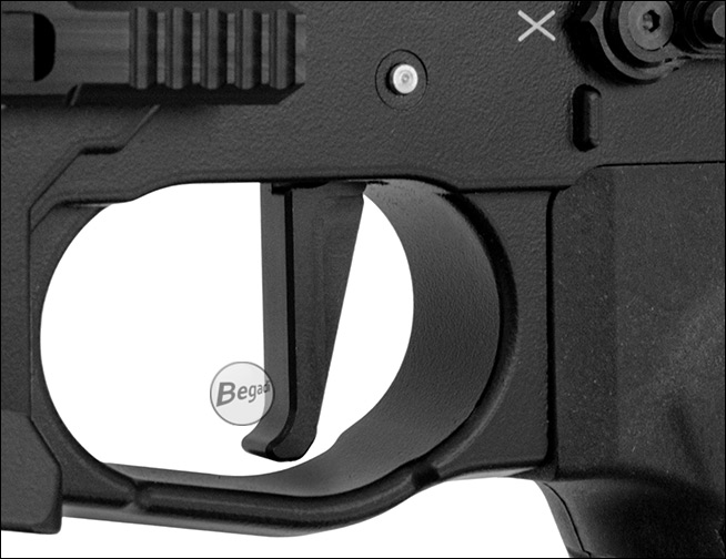 ASAR v2025 Forward Assist Button