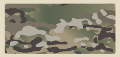 Multicam