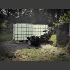 Bilder vom 24.08.24 auf der Area49