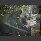 Bilder vom September auf der Area49