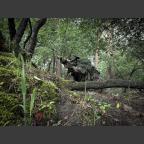 [Area49] Eventbilder Juli - August