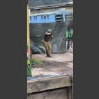 Spieltag 28.02.2026 "The Truck Stop"