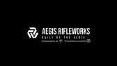 Aegis Rifleworks