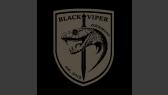 Black Viper Germany | NRW Euskirchen, Düren, Mönchen Gladbach