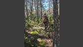 Airsoft team Berserkers