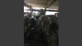 Airsoft team Berserkers