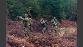 Section 8 - Milsim Airsoft Team